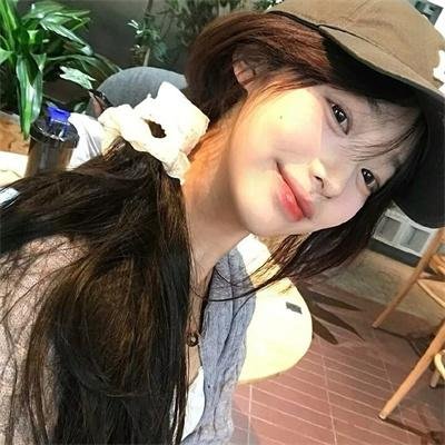 小野猫的公路历险记